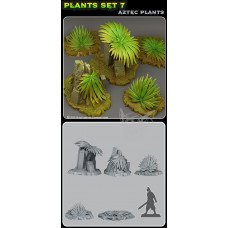 Plant Aztec